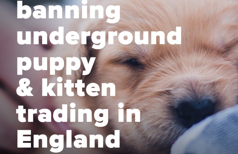We're banning underground puppy and kitten trading in England