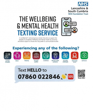 Wellbeing and Mental Health Texting Service